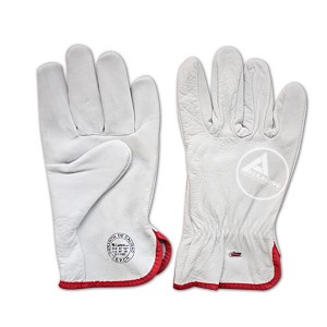 GLOVES(3)