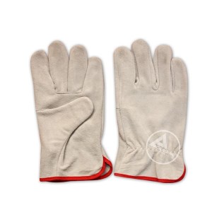 GLOVES(1)